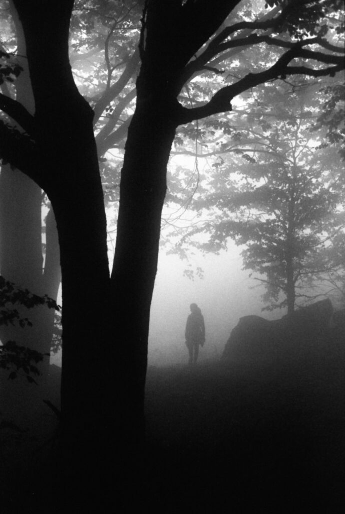 monochromatic silhouette photograph of a little girl in the woods, deep in the fog, backlit