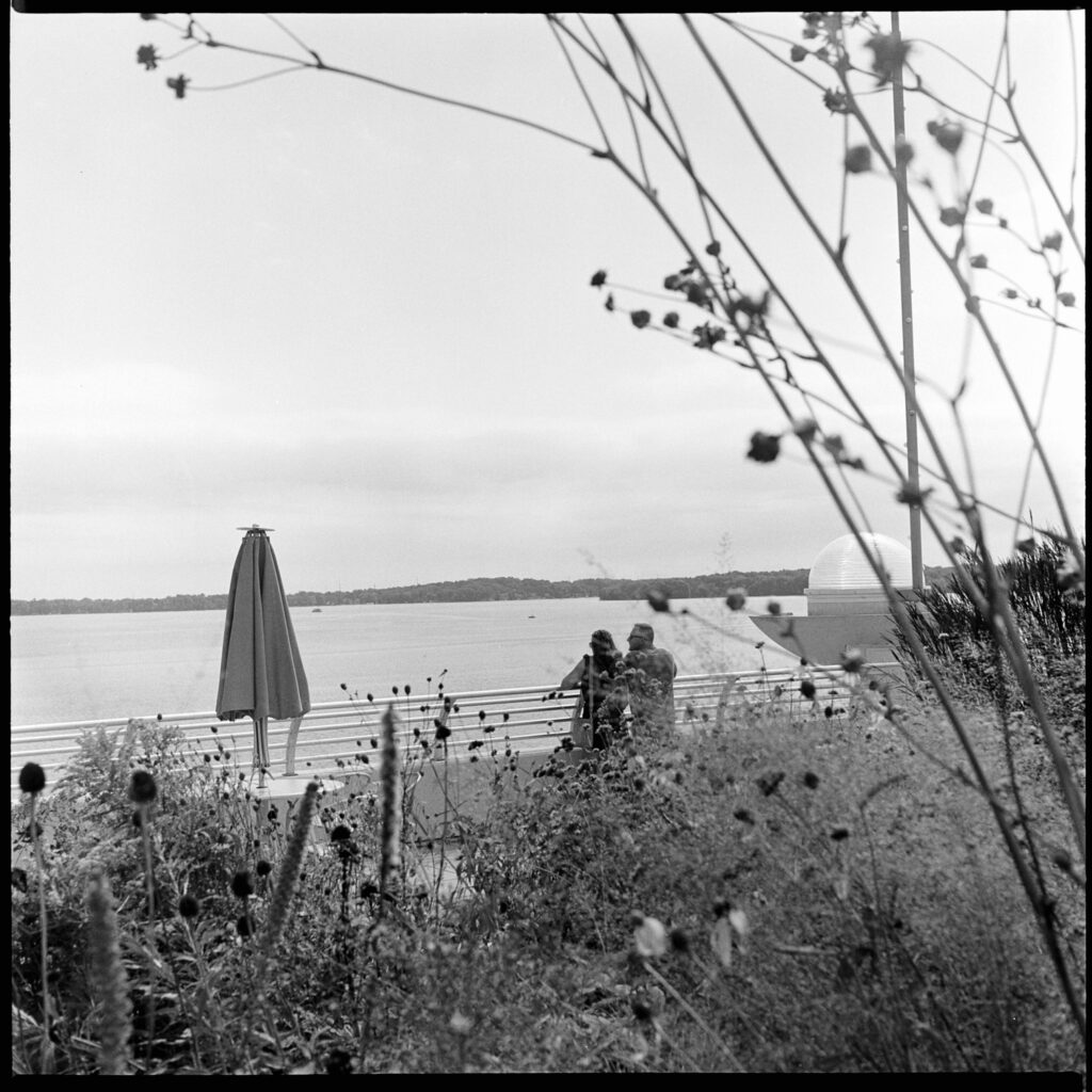 Black-and-white photograph of a couple in the distance, behind some flowers and vegetation, contemplating Lake Monona from the top level of Monona Terrace building, in Madison